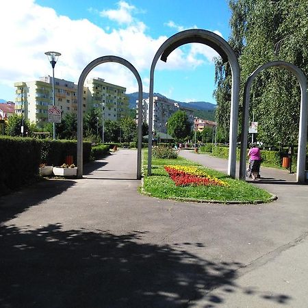 Apartament Nora Braşov Extérieur photo
