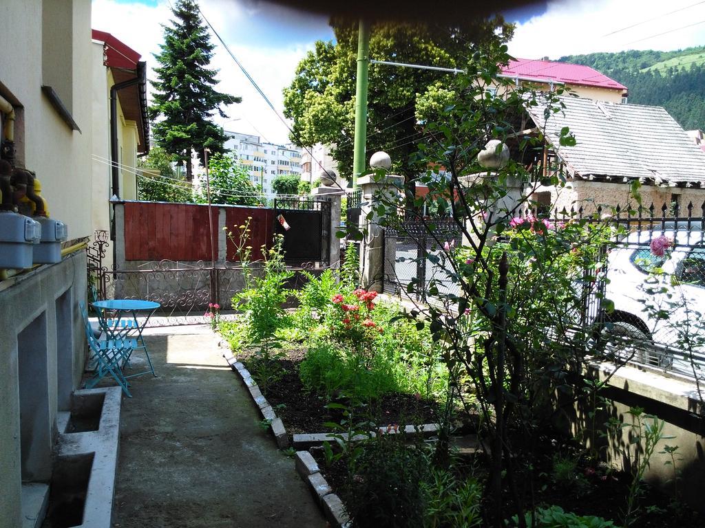Apartament Nora Braşov Extérieur photo